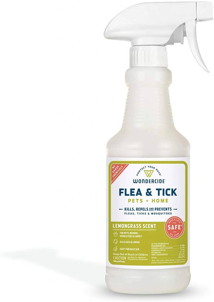 Garlic For Dogs A Natural Flea Repellent That Works