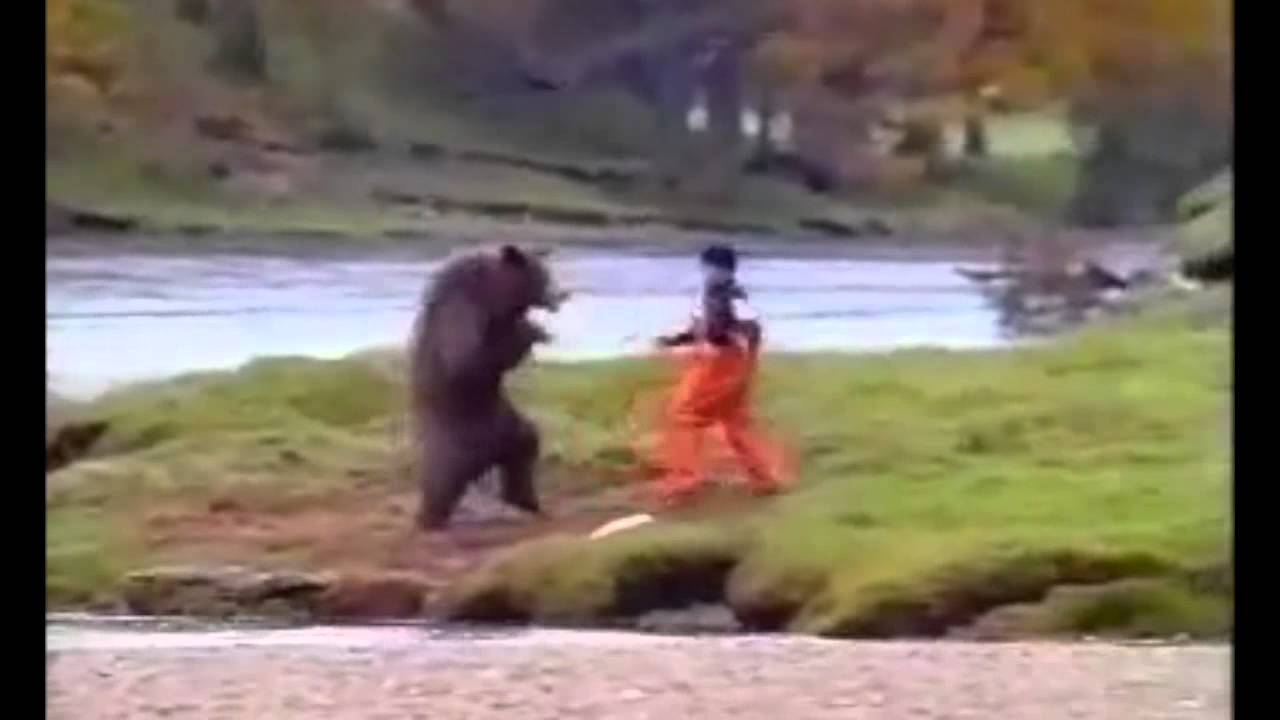 Grizzly Bear Vs Man Original Youtube Best Friends Bear Lovely