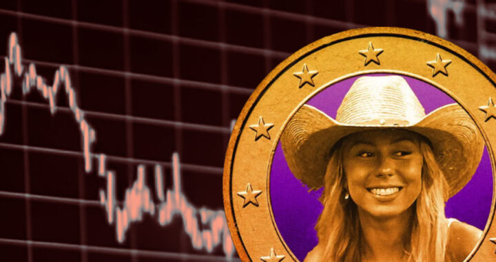 Hawk Tuah Girl Gets A Meme Coin Will This Sol Coin 100X From Here