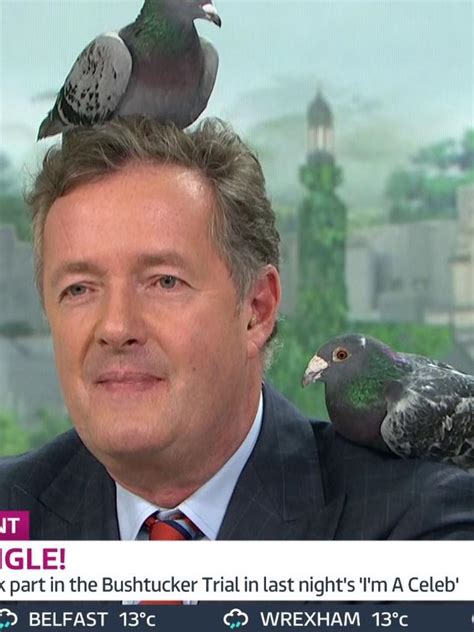 Home Alone 2 Piers Morgan Denies He Played The Pigeon Lady News Com