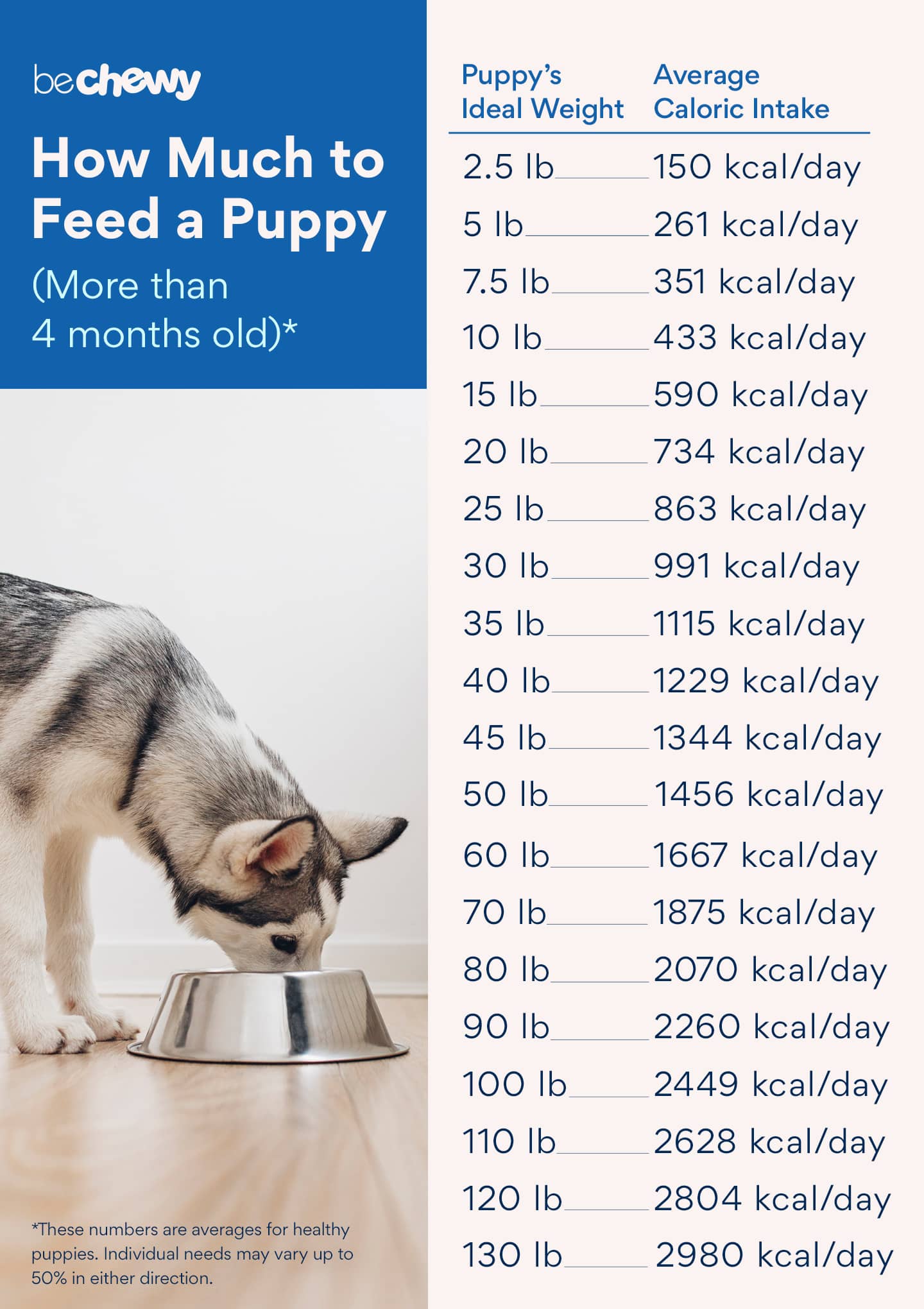 How Much Dog Food Should Puppies Eat At Hamish Gunther Blog