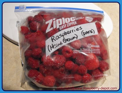 How To Clean And Freeze Raspberries Raspberry Freezing Fruit