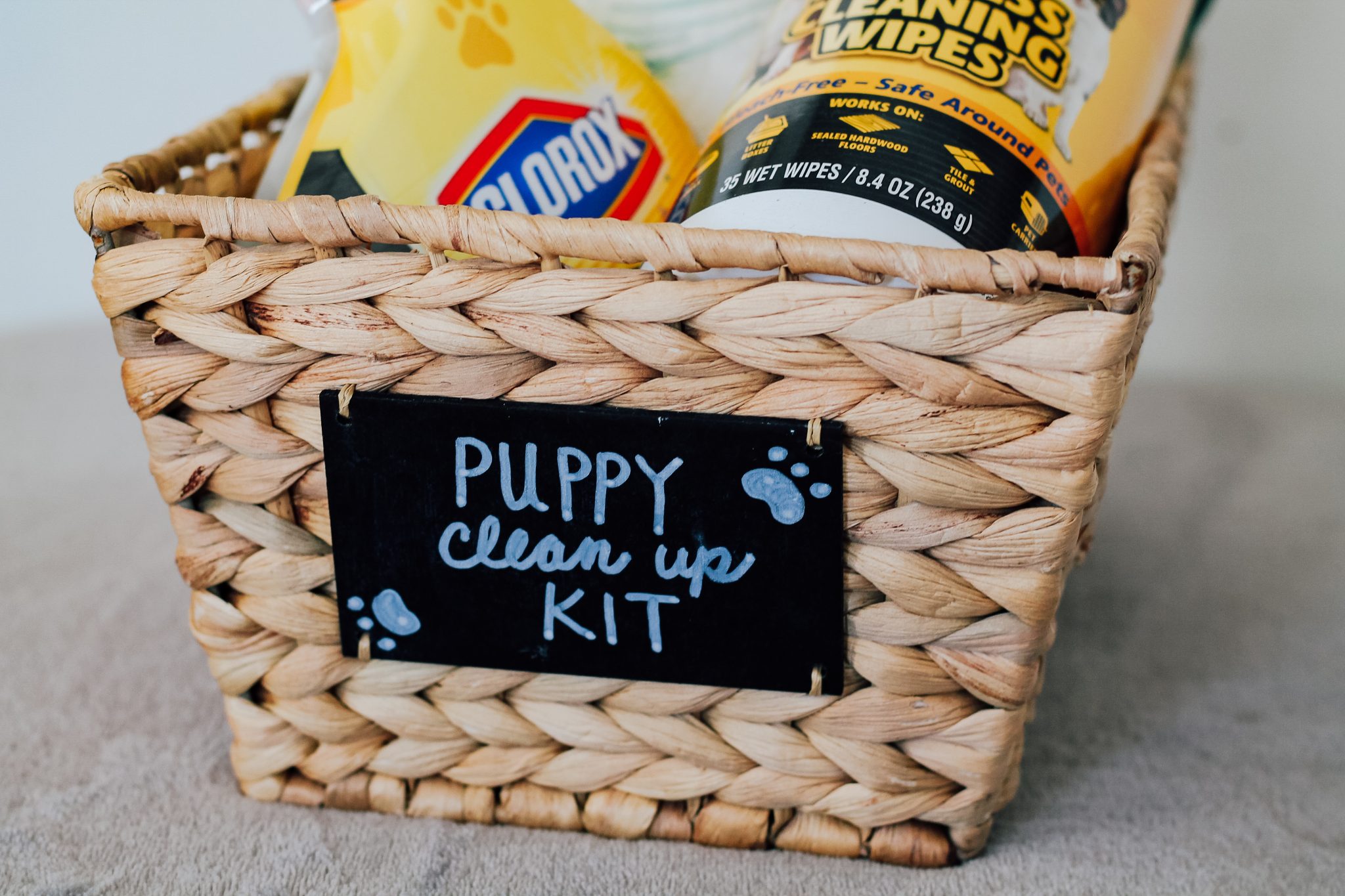 How To Create The Ultimate Puppy Clean Up Kit