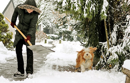 How To Help Prepare For A Snow Storm Travelers Insurance