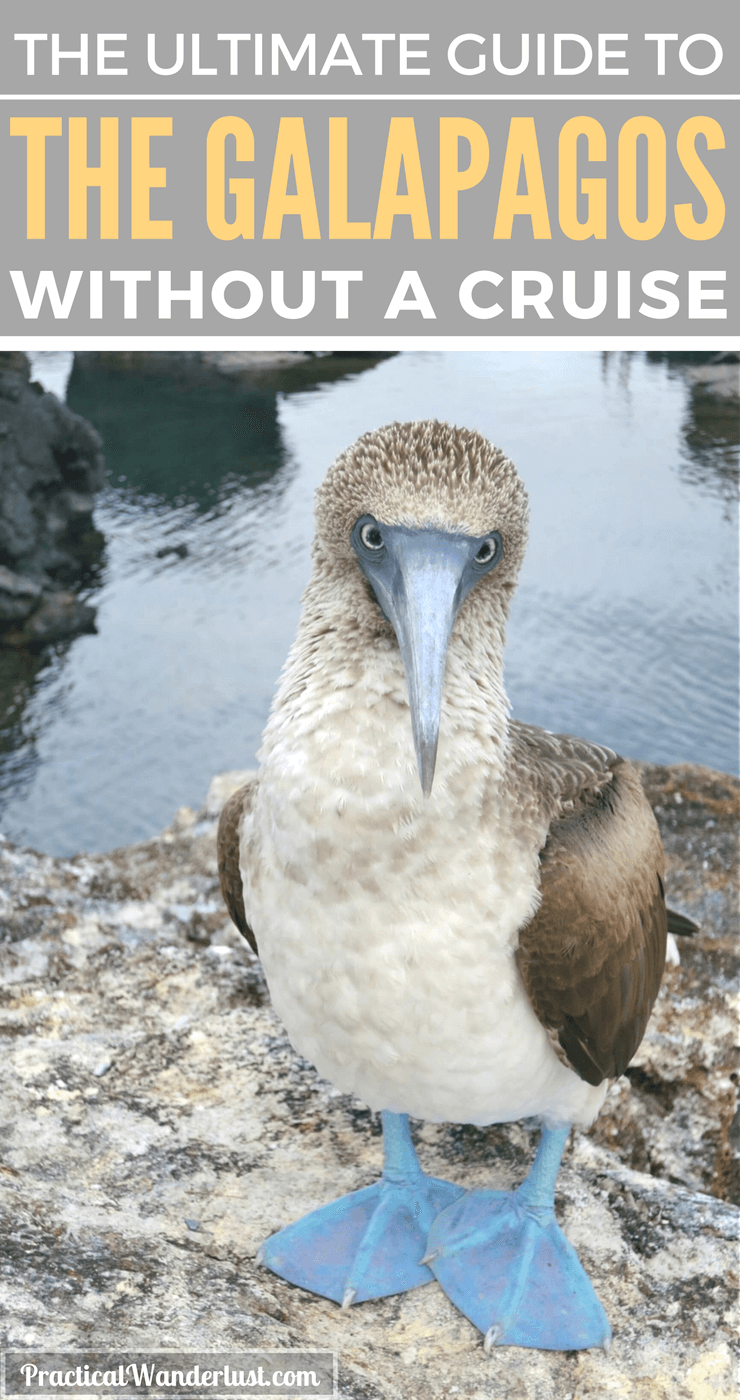 How To Visit The Galapagos Islands Without A Cruise A Complete Guide