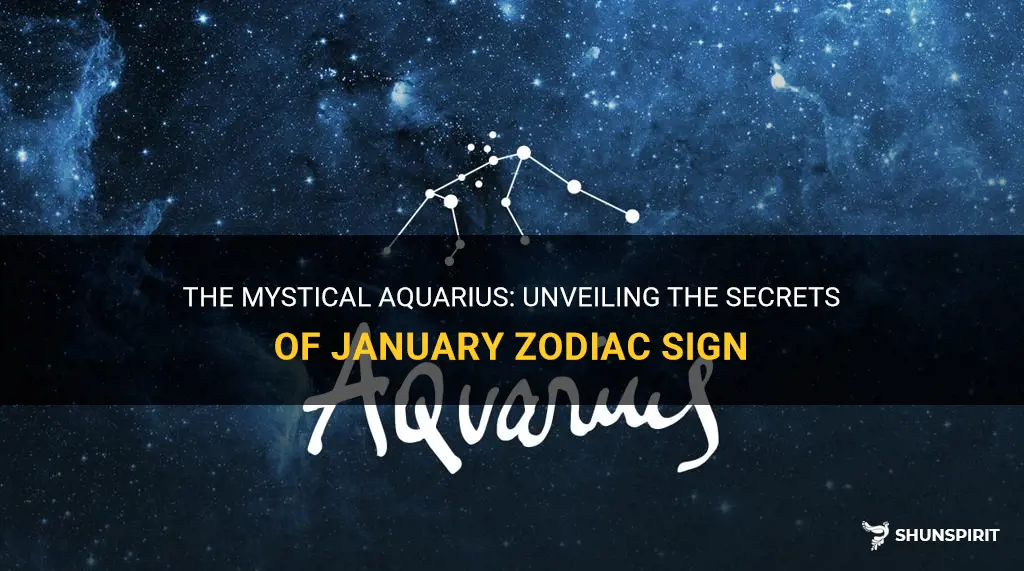 January 21St Zodiac Sign Unveiling The Quirks And Powers Of Aquarius