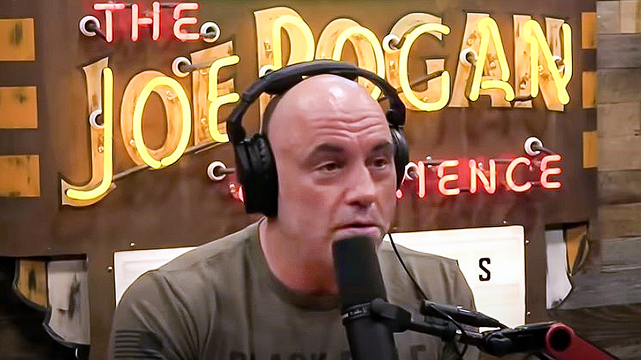 Joe Rogan Guest Shows Python Head That Almost Killed Him Youtube