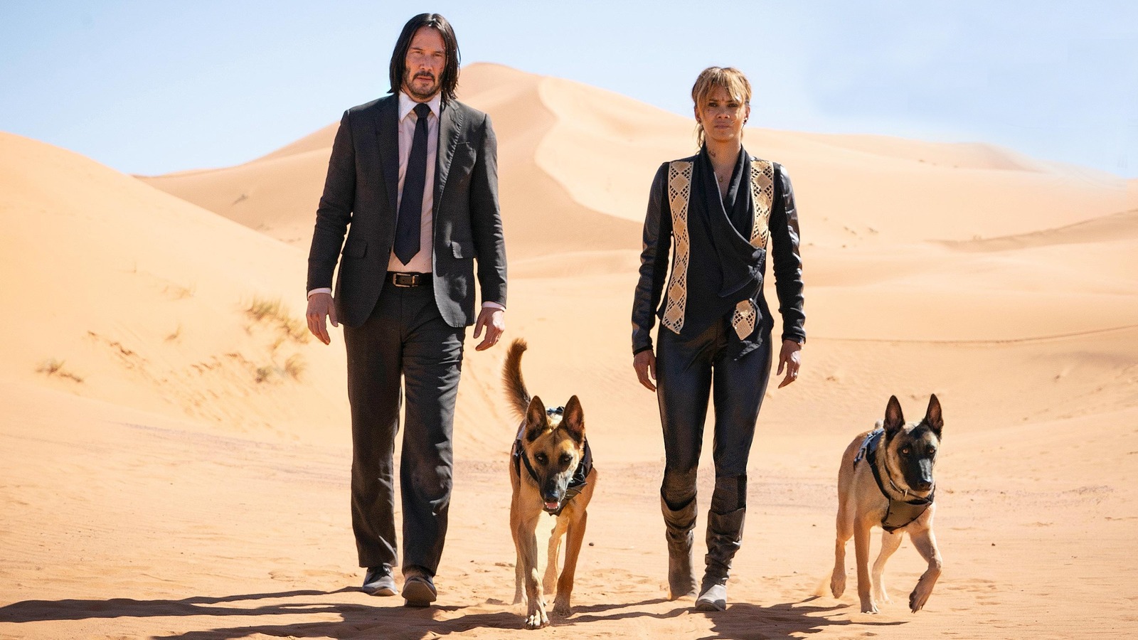 John Wick Chapter 4 Had Its Stunt Team On A Dog Rotation