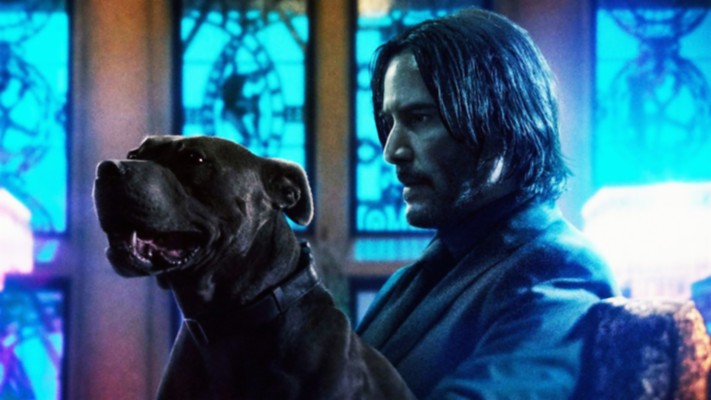 John Wick Dog Car 1080X1350 Wallpaper Teahub Io