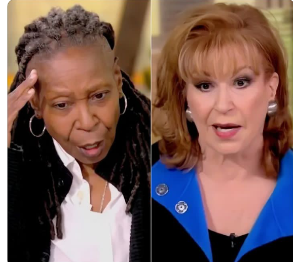 Joy Behar And Whoopi Goldberg S Contracts Not Renewed For The View