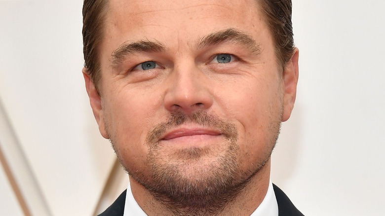 Leonardo Dicaprio's Titanic: The Ultimate Survival Story Revealed