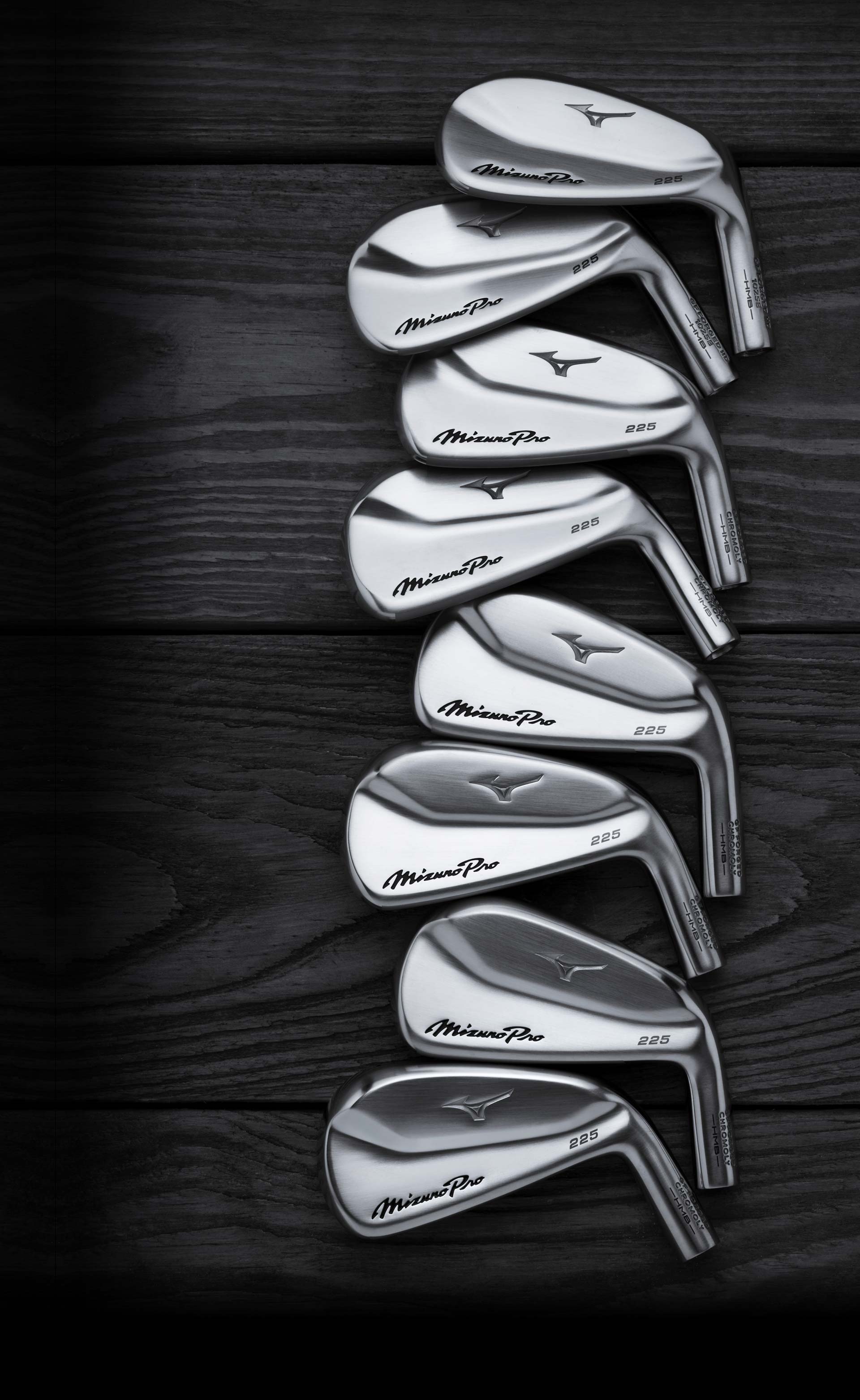 Mizuno Pro 225