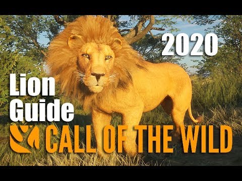 Mountain Lion Guide Thehunter Call Of The Wild Youtube