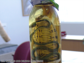 Name Your Poison Snake Wine Seized At Airport Cnn Com