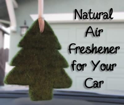 Natural Car Freshener