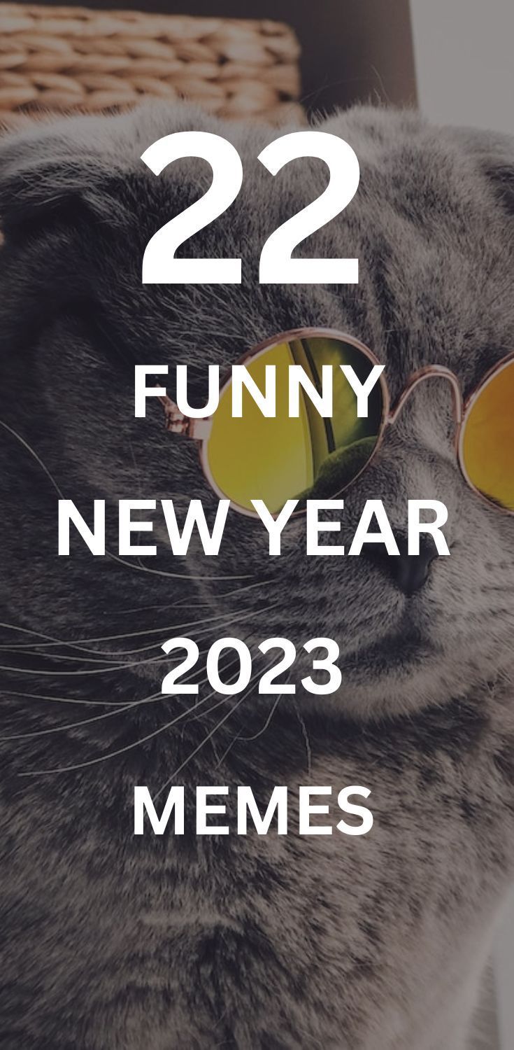 New Year Memes Funny New Year 2024 Memes And New Year Resolution