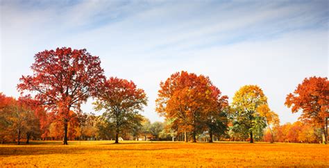 October Weather Will Be Warmer Than Usual Across Canada News