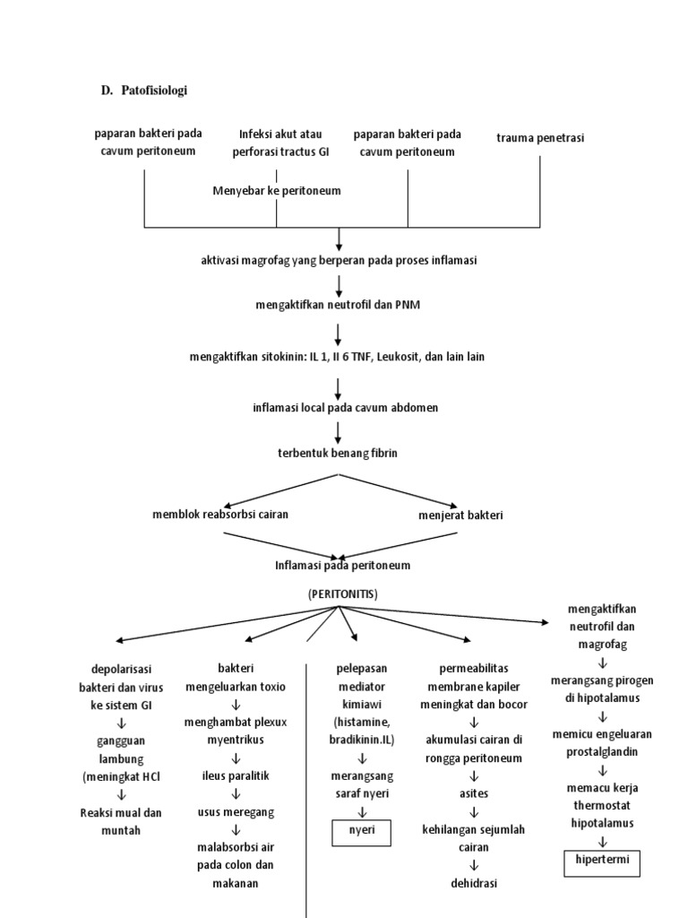 Peritonitis Pdf