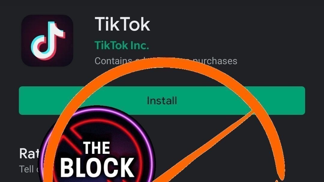 Petition Ban Tiktok In India Change Org