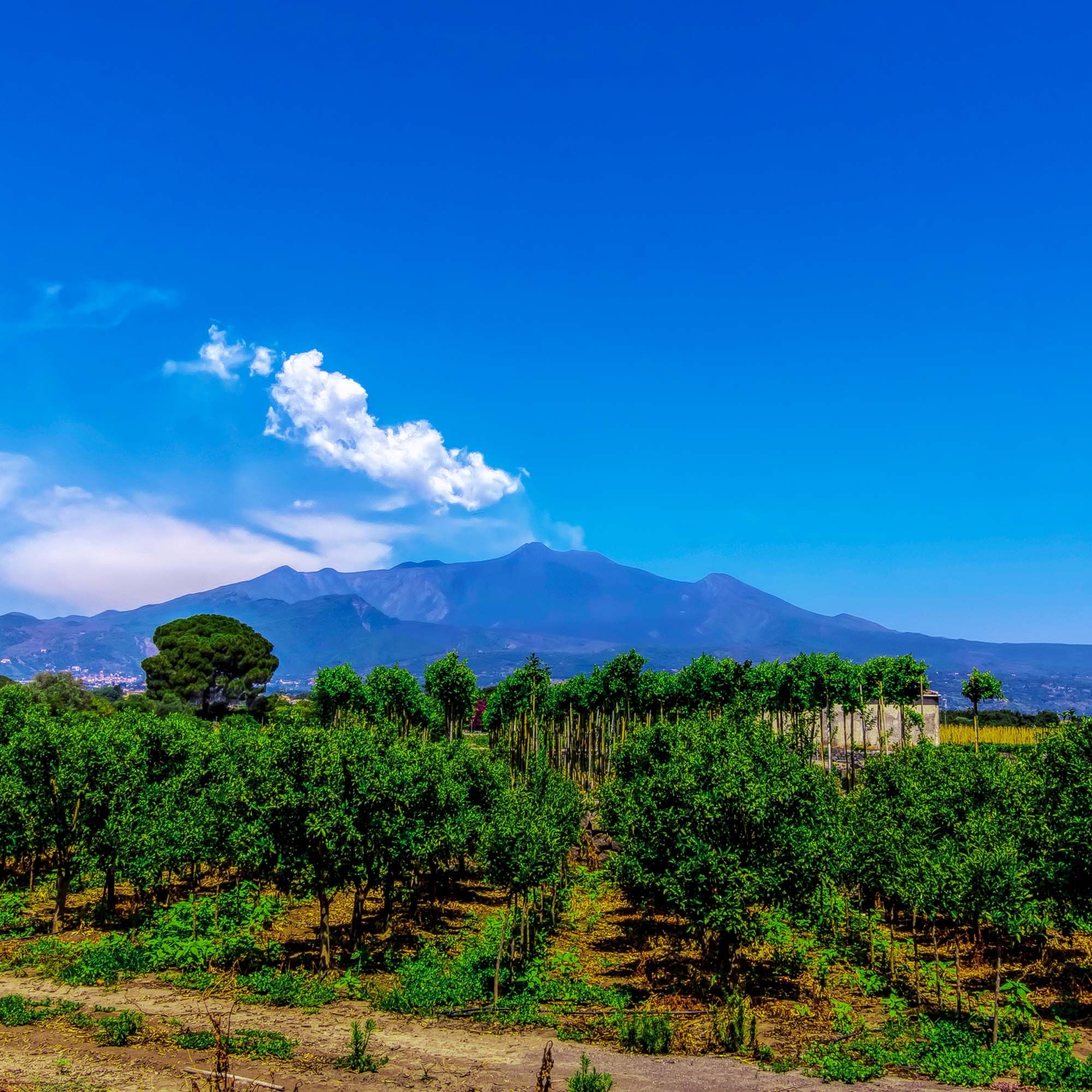 Sicily S Mount Etna Through The Eyes And Camera Of Rik Freeman Sicily