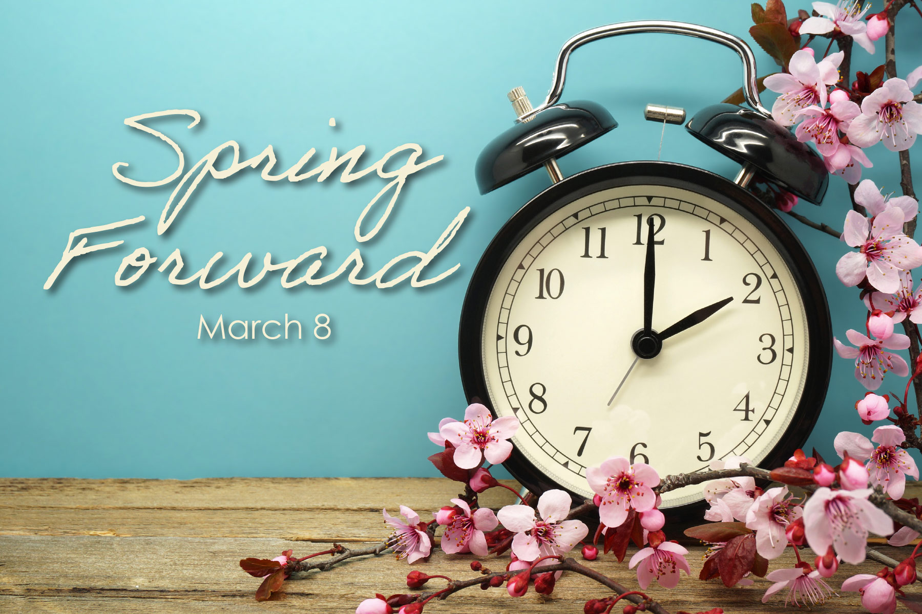 Spring Forward Daylight Savings Time Spring Daylight Savings