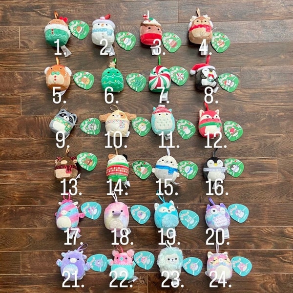 Squishmallow Advent Calendar 2025 Target Miami Kiley Esmeralda