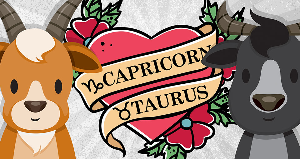 Taurus And Capricorn Compatibility In Love Relationships And Marriage