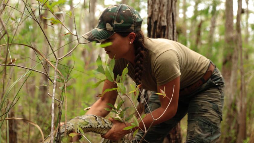 Tes Lee Swamp People Serpent Invasion Cast History Channel