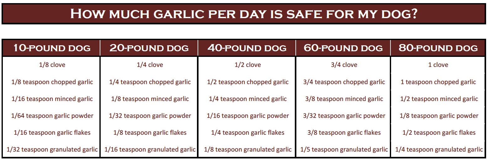 The Benefits Of Garlic For Dogs Health Benefits