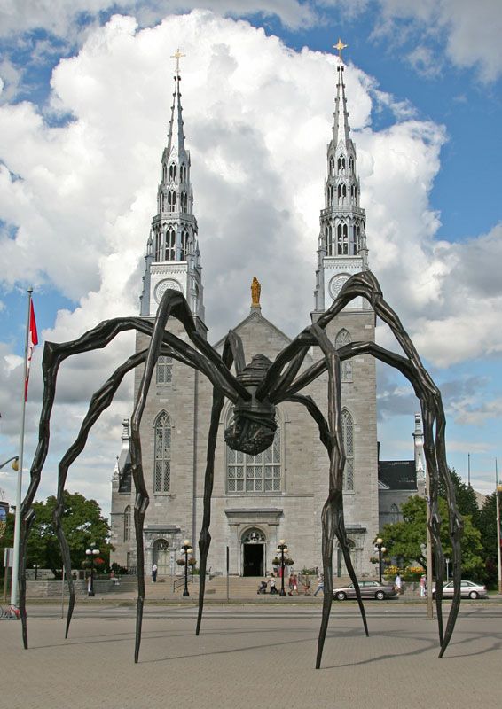 The Biggest Spider In The World