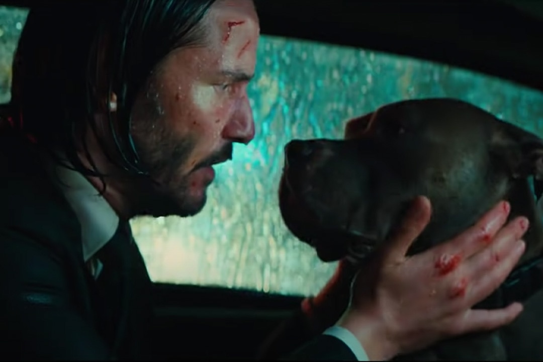 The Canine Companion In John Wick Chapter 4 Had The Most Stunts Of