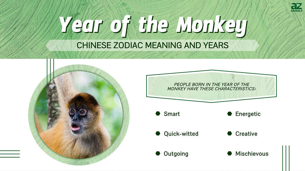 The Monkey Year