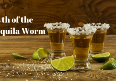 The Myth Of The Tequila Worm