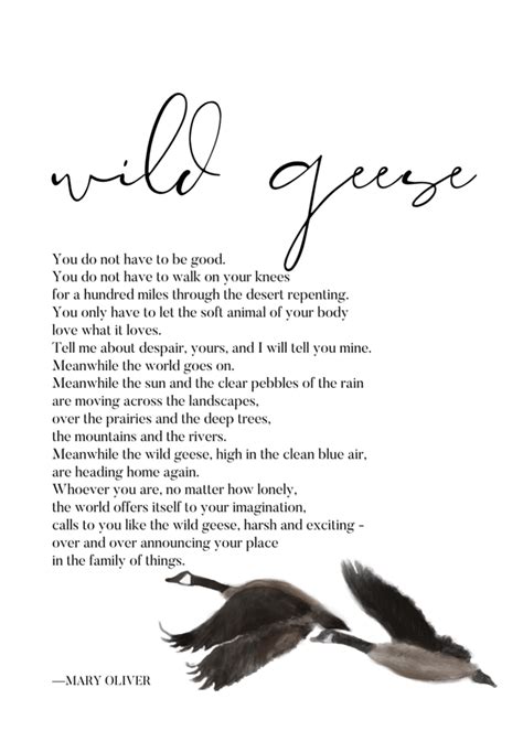 The Ultimate 5Step Guide To Creating Your Wild Geese Poem Today