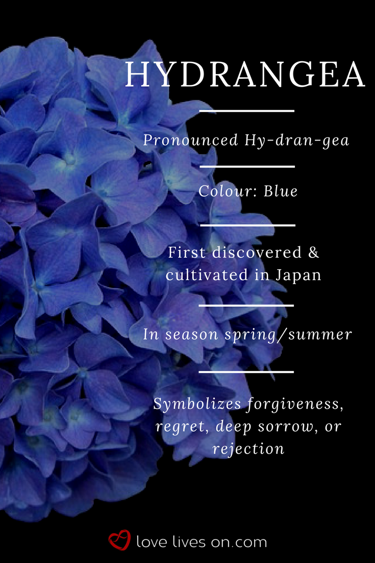 The Ultimate Guide And Meanings Of Zodiac Flowers