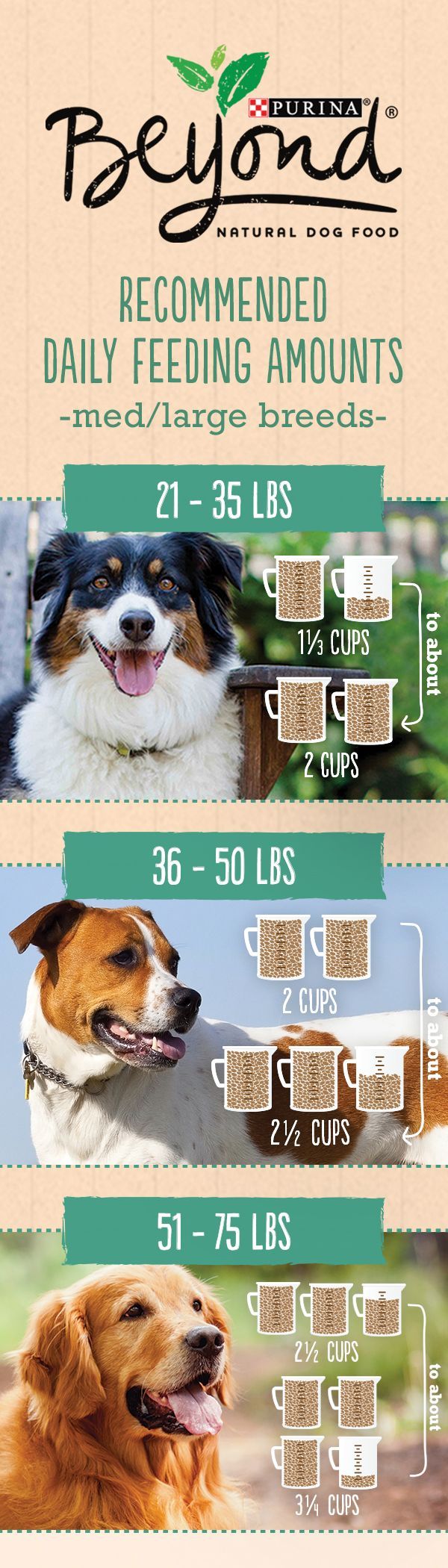 This Is The Ultimate Pet Nutrition Guide Filled With Pet Tips And