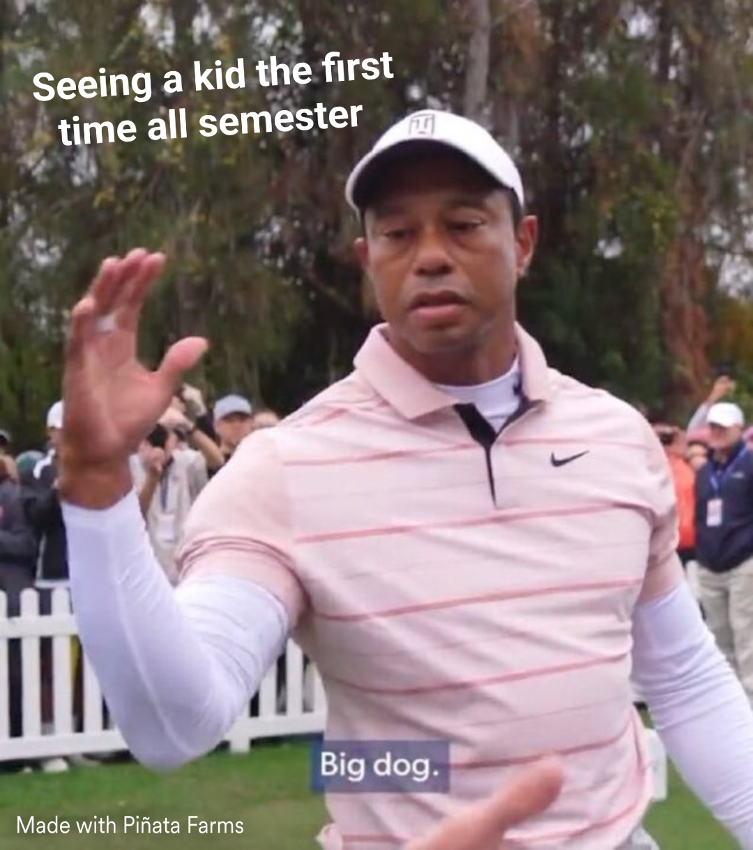 Tiger Woods Big Dog