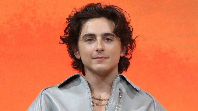 Timoth E Chalamet Net Worth 2025 Wonka Dune Salary Parade