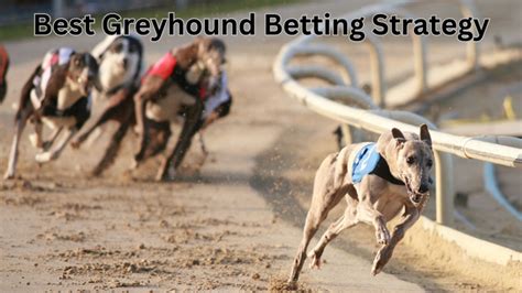 Ultimate 7 Tips To Design The Perfect Greyhound Racing Strategy Today