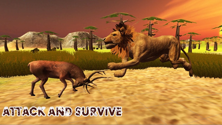 Ultimate Lion Simulator App On Amazon Appstore