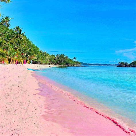 Uncover The Ultimate Pink Beach Secrets