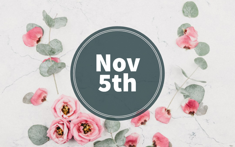 Understanding The November 12 Zodiac Traits Compatibility And More