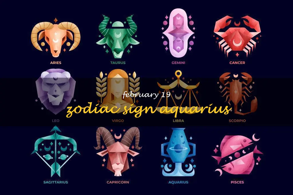 Unlocking The Secrets Of The February 11Th Zodiac Sign Aquarius Traits