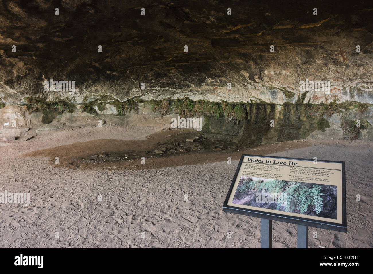 Utah Canyonlands National Park Needles District Cave Spring Cowboy