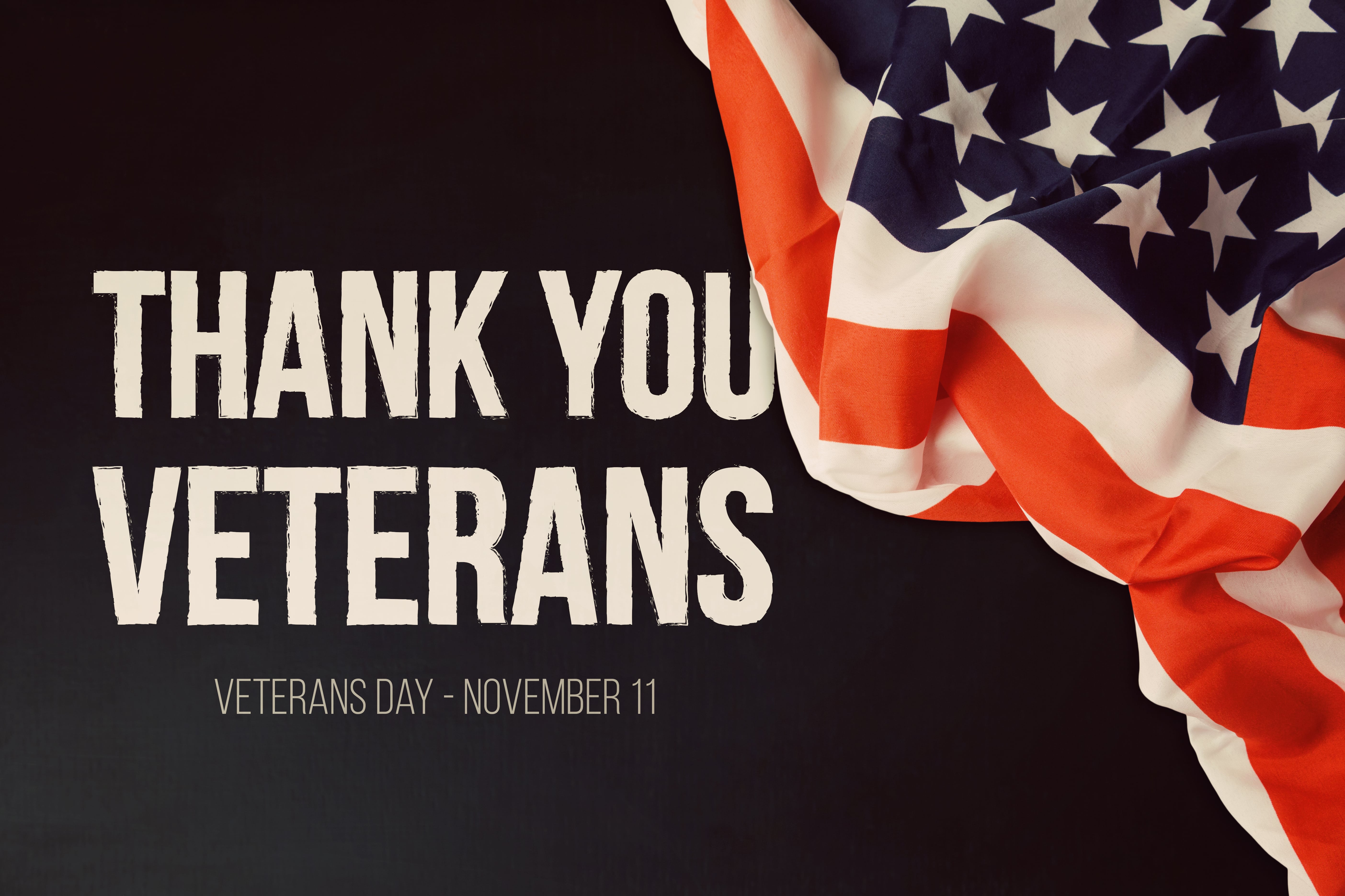 Veterans Day 2024 Observed Holidays Aili Sybille