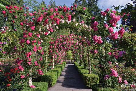 Vibrant Victoria The Inside Guide To The Butchart Gardens Season Of