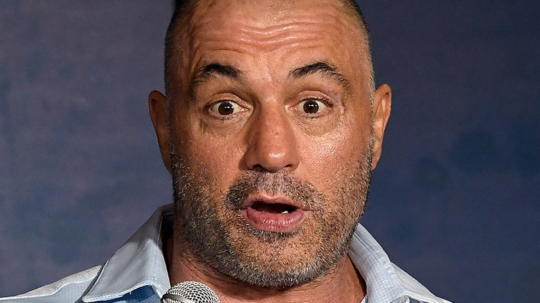 What You Never Knew About Joe Rogan