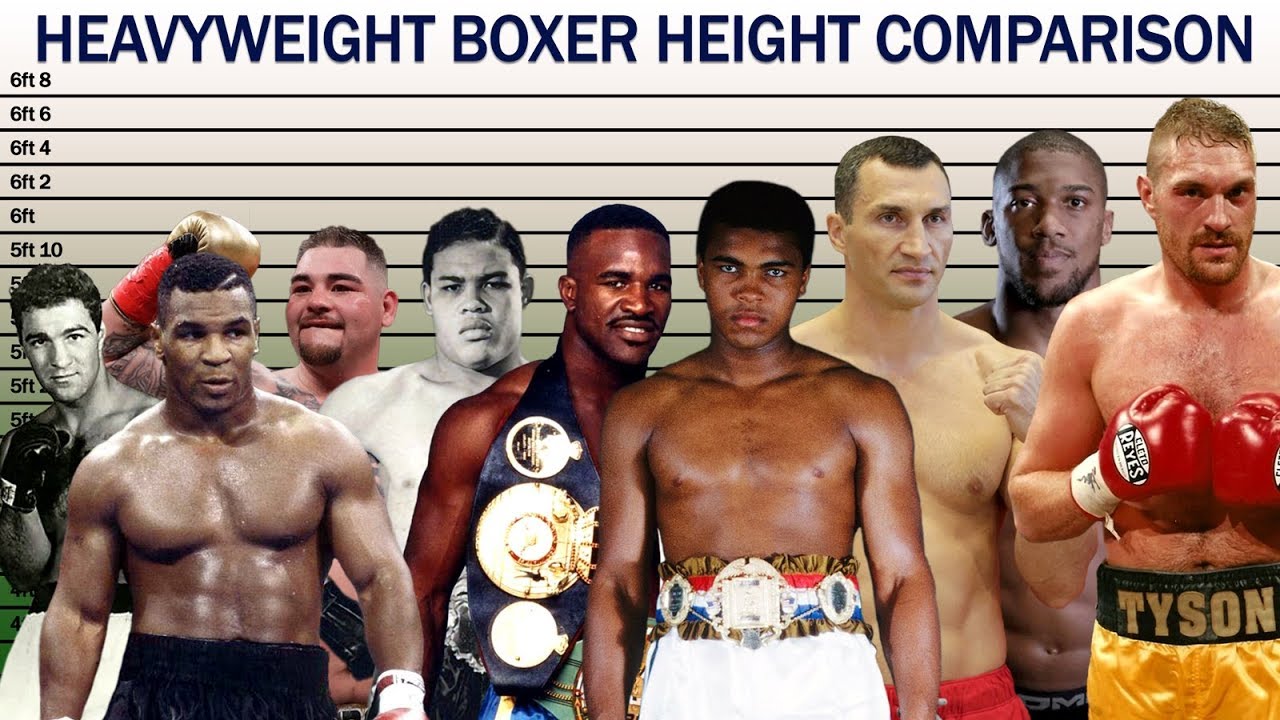 Why Do Boxers Have Weight Classes At Cheryl Dillard Blog