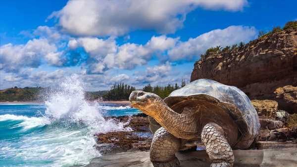 Why You Ll Never Forget A Visit To The Spectacular Galapagos Islands