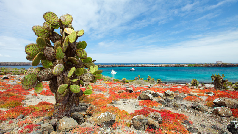 Your Galapagos Travel Checklist What To Know Before You Go Intrepid